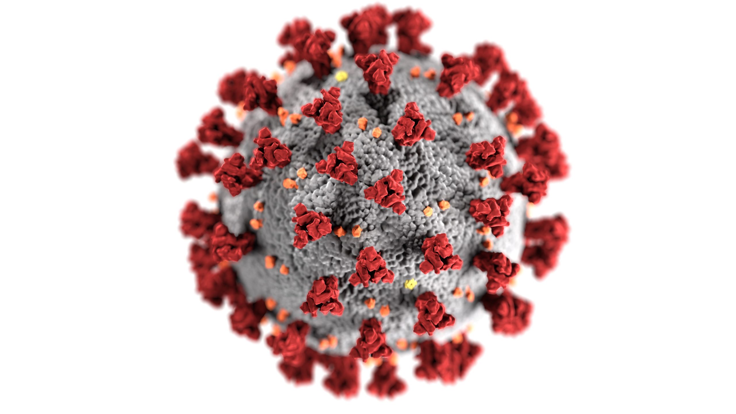Coronavirus – Supporting our Clients